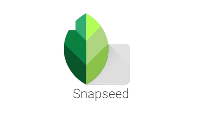 Social media content calendar on laptop screen